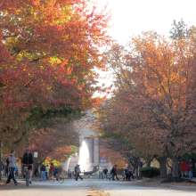 Showalter Fountain in Fall