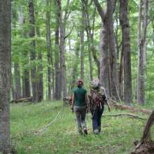 Hikers in Hoosier National Forest