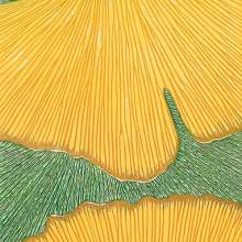 permanent art collection