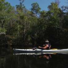 Kayak Tours Brunswick Islands