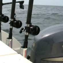Sea Fishing in NC's Brunswick Islands