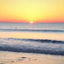 This Summer Choose NC's Brunswick Islands