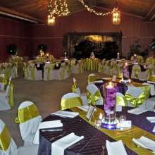 Photo courtesy of Silver Coast Winery