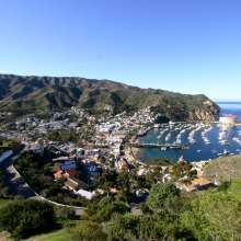 Catalina Island Aerial