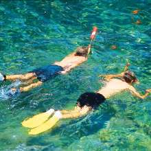 Catalina Island Snorkeling