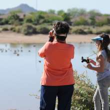 Birding at Veterans Oasis Park