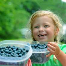 Cedar Grove Blueberry Farm.jpg