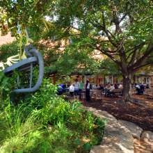 Gathering on Weaver Street Market Lawn.JPG