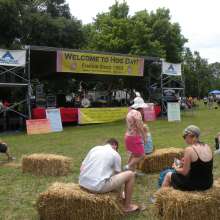 Hog Day attendees Listening to The Wiley Fosters.jpg