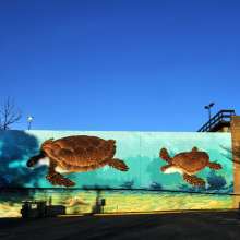 Sea Turtles mural by Michael Brown.JPG