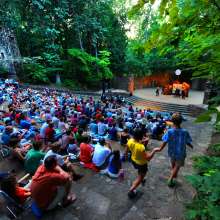 Summer Paperhand Puppet Festival in Forest Theatre on the UNC Chapel Hill Campus.jpg