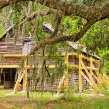 McLeod Plantation