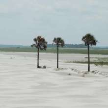 6/11 Folly Beach County Park Shore Stabilization