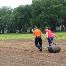 Rolling soil to flatten after seed planting