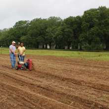 Volunteers till soil