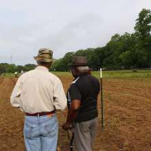 Looking over the crop after planting