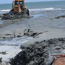 May 14 Folly Beach County Park Shore Stabilization