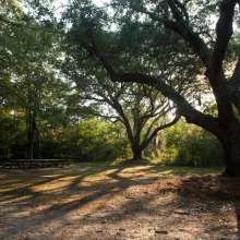 Edisto Hall at James Island County Park