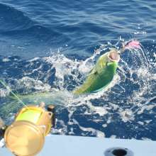 2013 CTFT Photo Contest: First Place