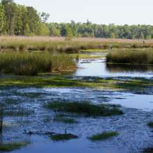 Ravenel Caw Caw Interpretive Center