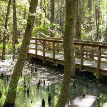 Ravenel Caw Caw Interpretive Center