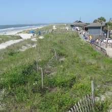 Folly Beach County Park
