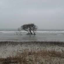 Erosion at Folly Beach County Park