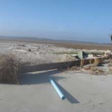 Erosion at Folly Beach County Park