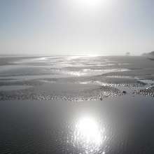 Erosion at Folly Beach County Park