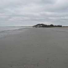 Erosion at Folly Beach County Park