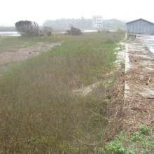 Erosion at Folly Beach County Park