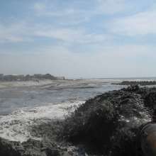 May 16 Folly Beach County Park Shore Stabilization