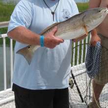 Cooper River Challenge - September 3, 2011
