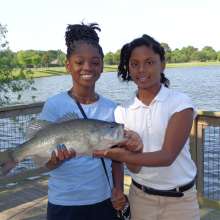 2014 CTFT Photo Contest: Second Place