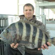 Rich Aulner & 11lb. 12 oz. Sheepshead