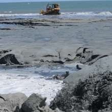 May 14 Folly Beach County Park Shore Stabilization