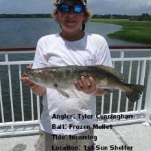 21.5 inch Spotted Sea Trout