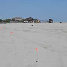 May 14 Folly Beach County Park Shore Stabilization