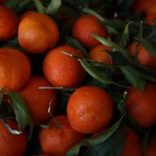 Tangerines