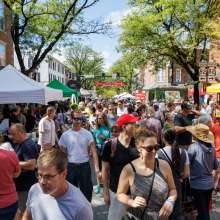 Mushroom Festival