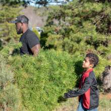 man and son selecting a fresh-cut Christmas tree