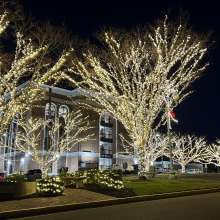 Christmas lights on trees in Public Square