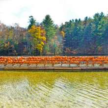 Fall Furnace Festival at Pine Grove Furnace State Park