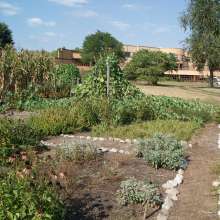 3 sisters garden 1
