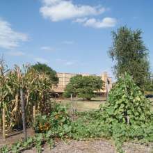 3 sisters garden 2