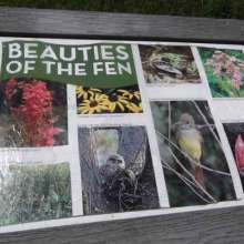 BeautySign