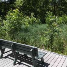 Bench