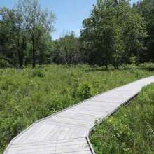 Boardwalk3
