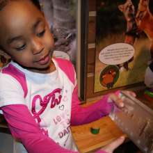 Boonshoft Museum Preschool in Kids PLAYce