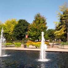 Fountains